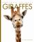 Giraffes