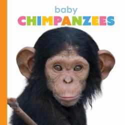 Baby Chimpanzees