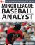 2015 Minor League Baseball Analyst