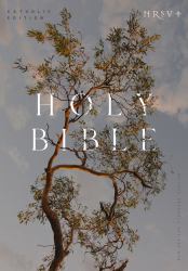 NRSV Catholic Edition Bible, Eucalyptus Hardcover (Global Cover Series) : Holy Bible