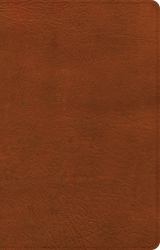 NASB Large Print Thinline Bible, Burnt Sienna LeatherTouch