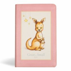 KJV Great and Small Bible, Pink LeatherTouch : A Keepsake Bible for Babies