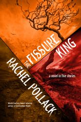 The Fissure King : A Novel in Five Stories