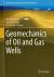 Geomechanics of Oil and Gas Wells