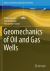 Geomechanics of Oil and Gas Wells