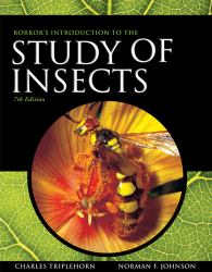 Borror and Delong's Introduction to the Study of Insects