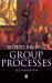 Group Processes : Dynamics Within and Between Groups