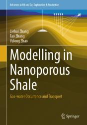 Modelling in Nanoporous Shale : Gas-Water Occurrence and Transport