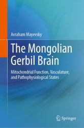 The Mongolian Gerbil Brain : Mitochondrial Function, Vasculature, and Pathophysiological States