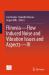 Flinovia--Flow Induced Noise and Vibration Issues and Aspects--IV