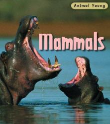 Animal Young Mammals 2nd Edition HB