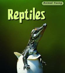 Reptiles