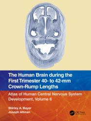 The Human Brain During the First Trimester 40- to 42-Mm Crown-Rump Lengths : Atlas of Human Central Nervous System Development, Volume 6