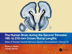 The Human Brain During the Second Trimester 190- to 210-Mm Crown-Rump Lengths : Atlas of Human Central Nervous System Development, Volume 10