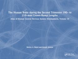 The Human Brain During the Second Trimester 190- to 210-Mm Crown-Rump Lengths : Atlas of Human Central Nervous System Development, Volume 10