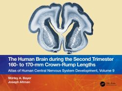 The Human Brain During the Second Trimester 160- to 170-Mm Crown-Rump Lengths : Atlas of Human Central Nervous System Development, Volume 9