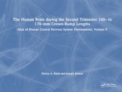 The Human Brain During the Second Trimester 160- to 170-Mm Crown-Rump Lengths : Atlas of Human Central Nervous System Development, Volume 9