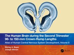 The Human Brain During the Second Trimester 96- to 150-Mm Crown-Rump Lengths : Atlas of Human Central Nervous System Development, Volume 8