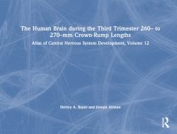 The Human Brain During the Third Trimester 260- to 270-Mm Crown-Rump Lengths