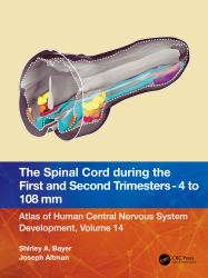 The Spinal Cord During the First and Second Trimesters - 4 to 108 MM : Atlas of Central Nervous System Development, Volume 14