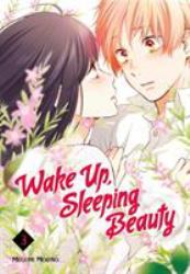 Wake up, Sleeping Beauty 3