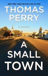 A Small Town : A Novel of Crime