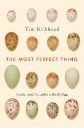 The Most Perfect Thing : Inside (and Outside) a Bird's Egg