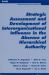 Strategic Assessment and Development of Interorganizational Influence in the Absence of Hierarchical Authority