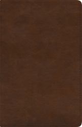 ESV Spanish/English Parallel Bible (la Santa Biblia RVR 1960 / the Holy Bible ESV, TruTone, Brown)