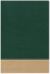 Teacher's Bible Green/Tan LeatherTouch