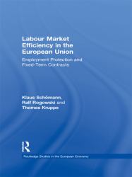 Labour Market Efficiency in the European Union