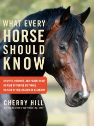 What Every Horse Should Know