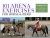 101 Arena Exercises for Horse & Rider