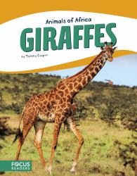 Giraffes