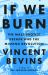 If We Burn: the Mass Protest Decade and the Missing Revolution : 'as Good As Journalism Gets'