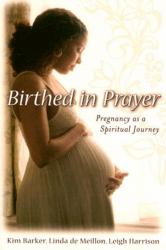 Birthed in Prayer : Pregnancy as a Spiritual Journey