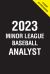 2023 Minor League Baseball Analyst