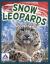 Snow Leopards