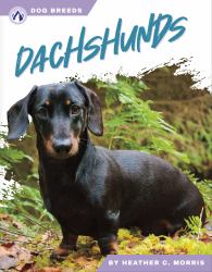 Dachshunds