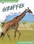 Giraffes