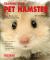 Training Your Pet Hamster