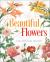 Beautiful Flowers Coloring Book