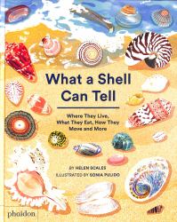 What a Shell Can Tell