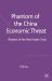 Phantom of the China Economic Threat : Shadow of the Next Asian Crisis