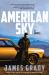 American Sky : A Novel