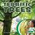 Terrific Trees