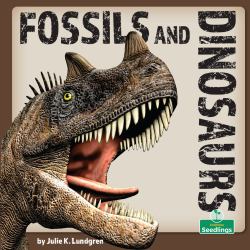 Fossils and Dinosaurs