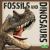 Fossils and Dinosaurs