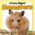 Crazy about Hamsters