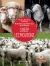 Sheep (les Moutons) Bilingual Eng/Fre